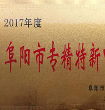 2017年度《阜阳市专精特新中小企业》